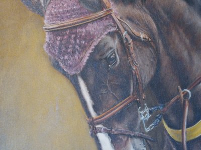 The World of Horses and Portraiture