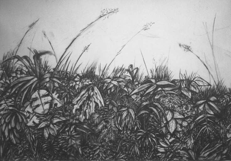 Cliff Edge - Charcoal Drawing