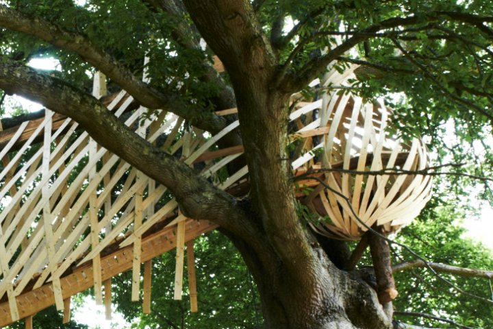 Dartmoor Tree House Structure