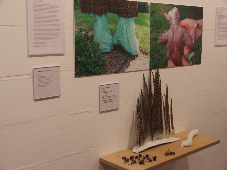 Installation 'Art, Economy and Ecology' at CCANW