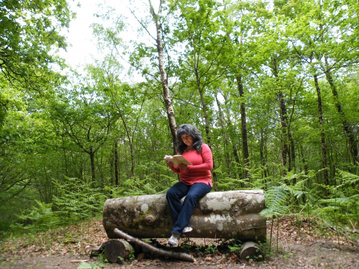 Marta reading  "The Forest on the Hill" in Yarner Wood