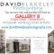 David Blakeley in Gallery 8 Teignmouth / <span itemprop="startDate" content="2015-06-21T00:00:00Z">Sun 21 Jun 2015</span>