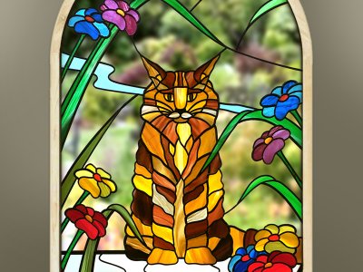 Maine Coon ginger cat window