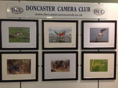 Doncaster Camera Club New Members Night