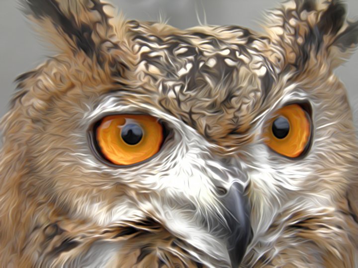 Israeli Eagle Owl