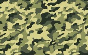 Camouflage Crafts!