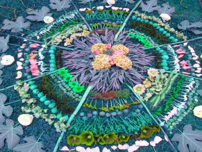 Create a Digital Nature Mandala