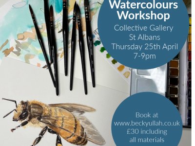Introduction to Watercolours Workshop