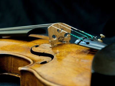 Maggini String Quartet
