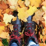 Picture This Autumn Photography Walks