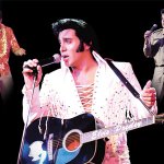 the Elvis Years