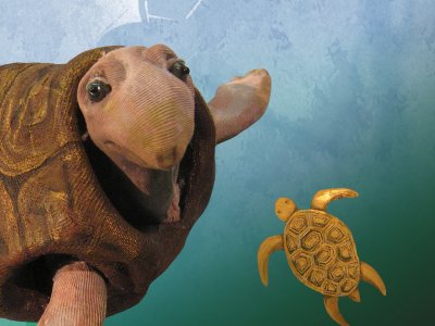 The Journey of the Turtle