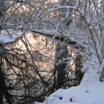 Winter Trees Crafternoon:  A free drop-in festive craft activity