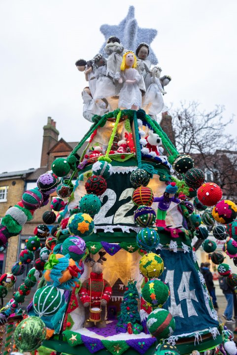 Hertford's Christmas Tree 2019