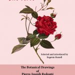 The Rose: the botanical drawings of Pierre-Joseph Redouté