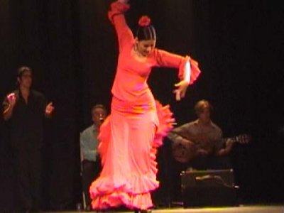 Beginners Flamenco Class