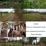 Vineyard and Mud Hut for Events / Land to Hire for workshops /events