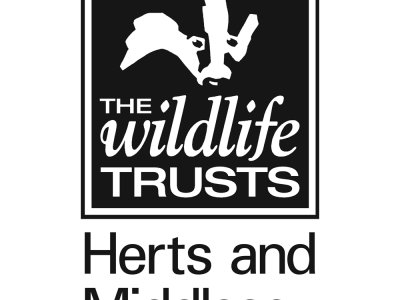Wild at Home with Herts and Middlesex Wildlife Trust