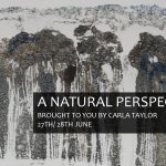 A NATURAL PERSPECTIVE Art Exhibition || North Light Gallery