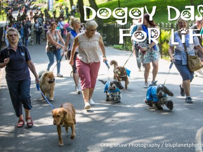 Doggy Dash For Life 2018, Huddersfield
