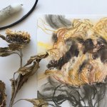 Draw for Ukraine - Mixed Media Sunflowers