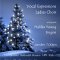 Expressions of Christmas with Vocal Expressions Ladies Choir / <span itemprop="startDate" content="2016-12-17T00:00:00Z">Sat 17 Dec 2016</span>