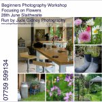 Flower Photography Workshop for Beginners and beyond.