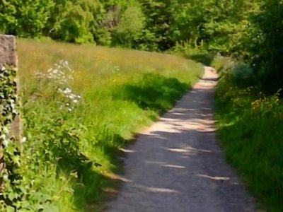 Go for an accessible walk with Holmfirth Arts Festival 2022