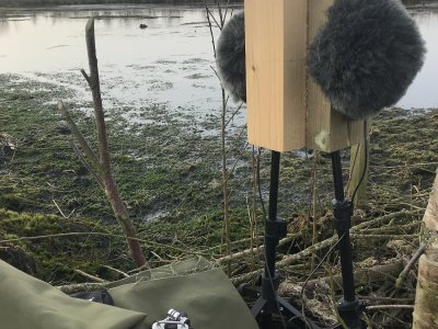 Introduction to Field Recording