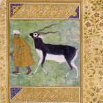 Mughal Paintings from the V&A