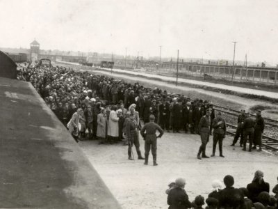 Photographing the Holocaust – the ‘Auschwitz Album’