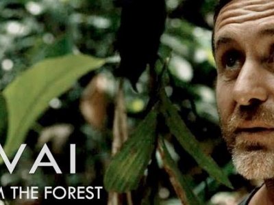 TAWAI-a voice from the forest - A film by Bruce Parry