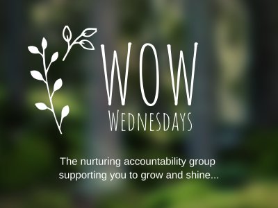 WOW Wednesdays Accountability Membership; Creative Entrepreneurs