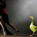 Yellow Goose Dance 4