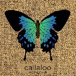 Callaloo PopUp Carnival Crowdfunding Campaign reaches its target