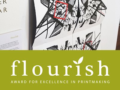 Shortlist for Flourish Award 2016