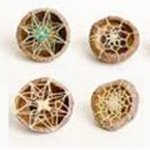 Craft of Natural Button Making