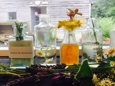 Craft Revolution: Tonics & Tinctures with Tania Bryson – one-day