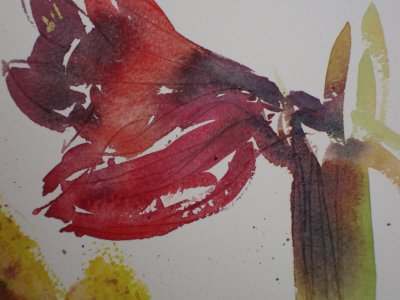 Experimental Watercolour Flowers with Breda Holden