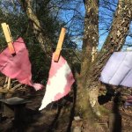 Forest School at Torre Abbey