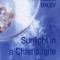 Launch of SUNLIGHT IN A CHAMPAGNE GLASS / <span itemprop="startDate" content="2009-05-13T00:00:00Z">Wed 13 May 2009</span>