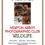 Newton Abbot Photographic Club
