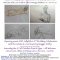 October Life Drawing Exhibition and our 2nd Birthday Celebration / <span itemprop="startDate" content="2015-10-03T00:00:00Z">Sat 03</span> to <span  itemprop="endDate" content="2015-10-31T00:00:00Z">Sat 31 Oct 2015</span> <span>(1 month)</span>