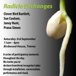 Radicle Exchanges