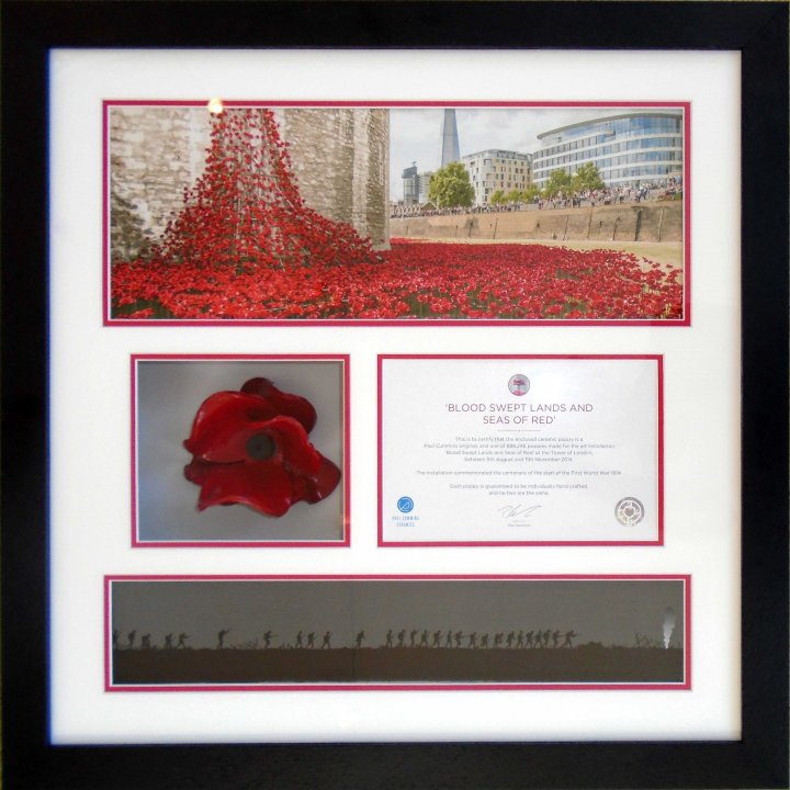 Ceramic Poppy from the Tower Of London