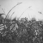 Cliff Edge - Charcoal Drawing