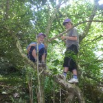 Creative Play Journeys Pilot - Boys Climbing