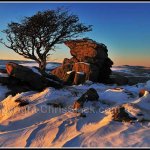 Dartmoor Snow