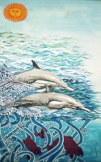 Dolphins and Carp