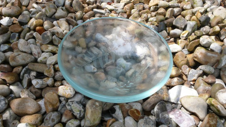Ice Clear Glass Fern Bowl